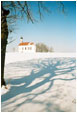 Schneeschatten und Schneebaum - 2 Fotos 