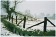 Schneefeld - 1 Foto 