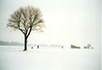 Schneeland - 2 Fotos 