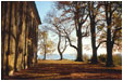 Buchendom - 1 Foto