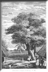 Dorf bei Bagamoyo 