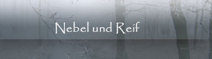 Nebel und Reif - Volksgarten Mönchengladbach; Niers
