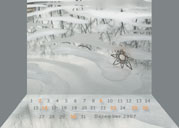 Fotokalender 2007